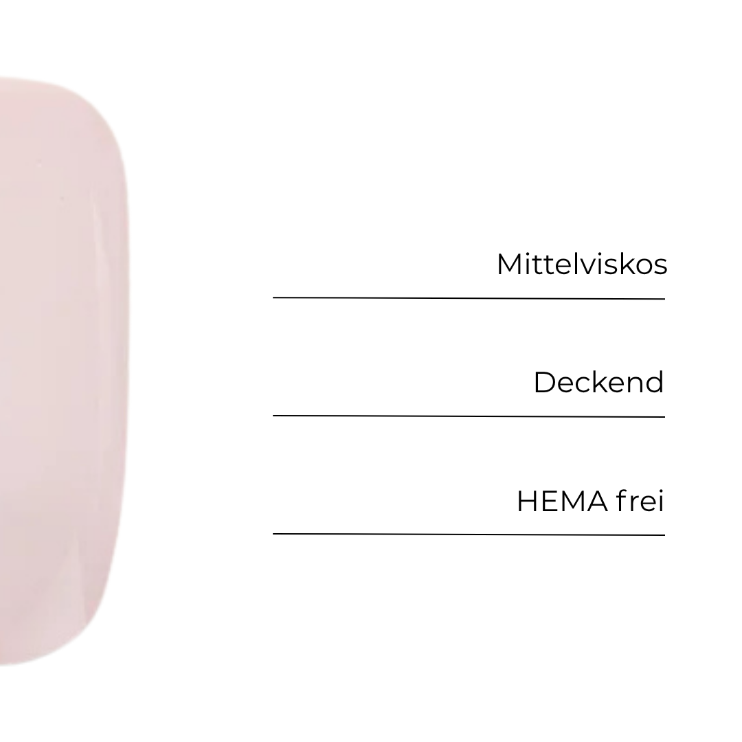 BNC Muse of light Cashmere