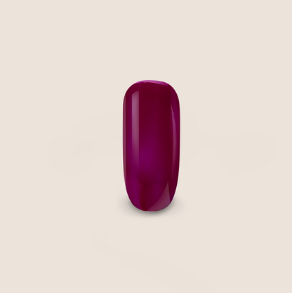 BNC colour gel RAL 4004 CLARET VIOLET