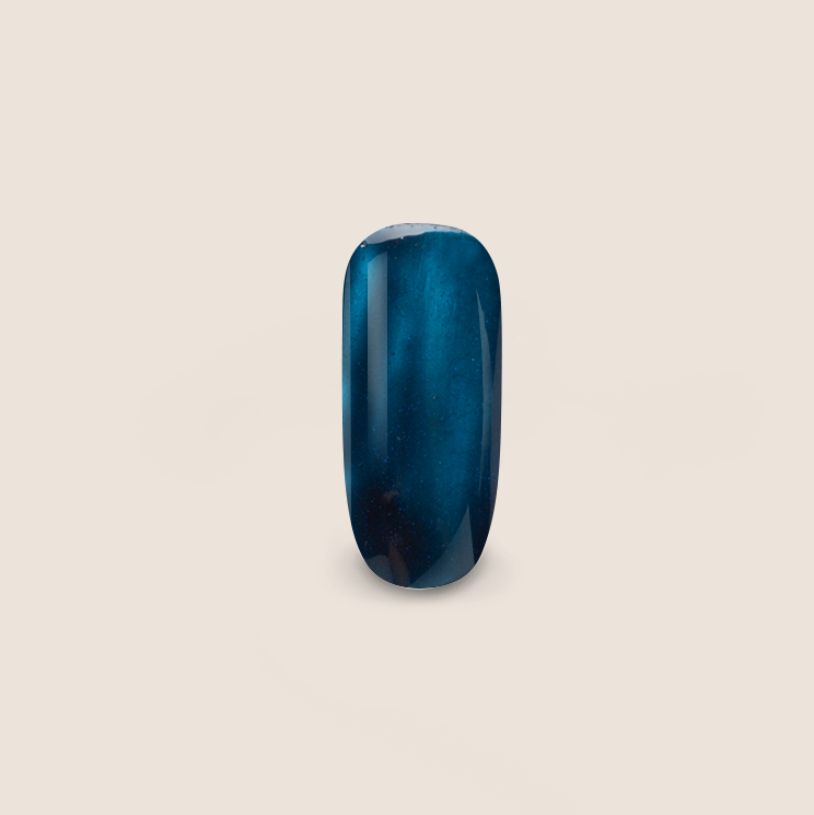 BNC Shellac UV/LED varnish Blueberry