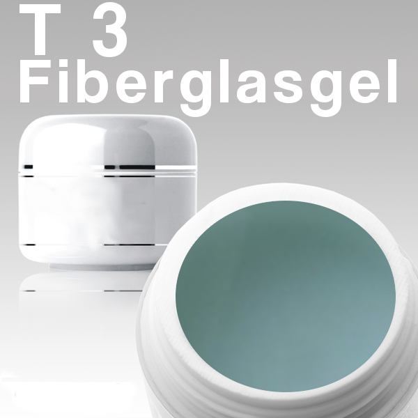 10 x 4ml T3 Fiberglas-Gel Clear*OHNE LABEL